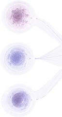 Disease Trajectories
