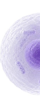 Therapeutic Response