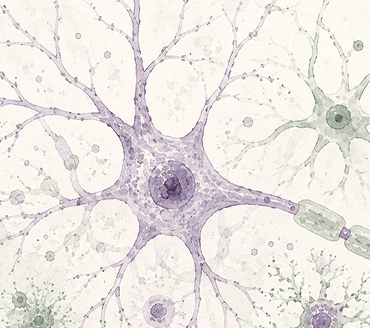 Neuroinflammation