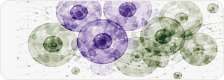 Dynamic Tissue Responses Graphic