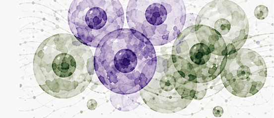 Dynamic Tissue <br/> Responses