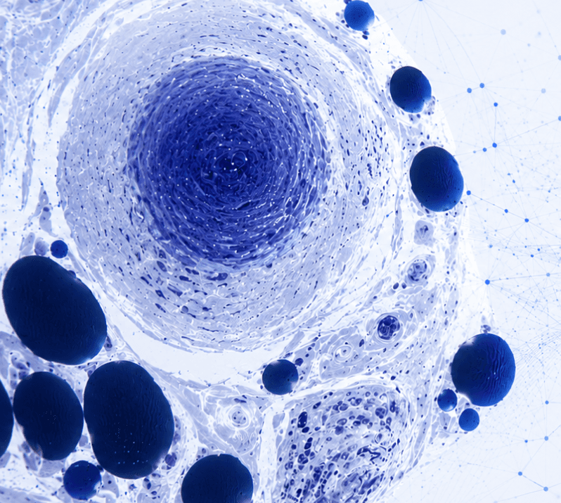 Cellular Biophysics Background