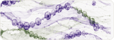 Translational Impact