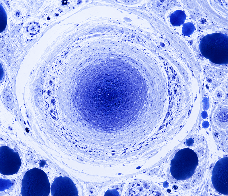 The Science Behind ChargeViewer